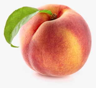 Royalty-free Nectarine Peach Photography - Peach Png, Transparent Png, Transparent PNG