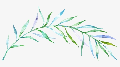 Clipart Download Thin Green Free Download Png Files - Watercolor Transparent Background Branch Png, Png Download, Transparent PNG