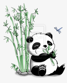 Collection Of Drawing - Cute Panda With Bamboo Drawing, HD Png Download, Transparent PNG