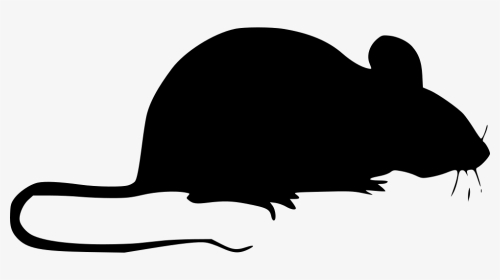Mouse - Mice Icon Png, Transparent Png, Transparent PNG