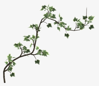 Graphic Freeuse Download Ivy Transparent Psd - Poison Ivy Vines Png, Png Download, Transparent PNG
