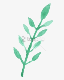 Free Png Watercolour Leaf Png Image With Transparent - Watercolor Leaf Clip Art, Png Download, Transparent PNG