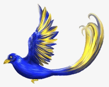Phasianidae, HD Png Download, Transparent PNG