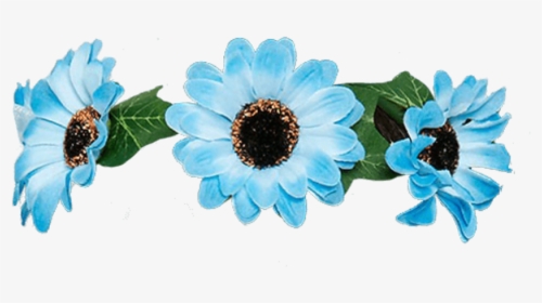 #flores #flowers #flower #blue #rose #roses #crown - African Daisy, HD Png Download, Transparent PNG