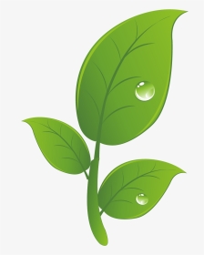 Hacked Android Clip Art - Leaf, HD Png Download, Transparent PNG