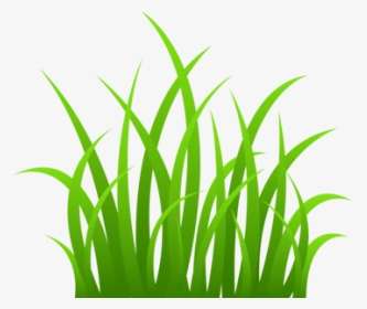 Grass Clip Art, HD Png Download, Transparent PNG