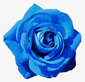 Sky Blue Rose By Jeanicebartzen27 On Deviantart - Blue Hd Rose Png, Transparent Png, Transparent PNG