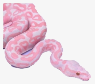 #snake #vaporwave #aesthetic #aestheticvaporwave - Snakes In Pink Colour, HD Png Download, Transparent PNG