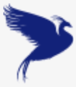 Ledar Fenix Group - Bird, HD Png Download, Transparent PNG