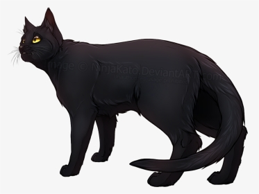 Cat Transparent Deviantart - Digital Black Cat Transparent, HD Png Download, Transparent PNG