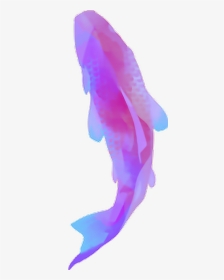 #violet #carpe #koi #fish #poisson #zen #vaporwave - Koinobori, HD Png Download, Transparent PNG