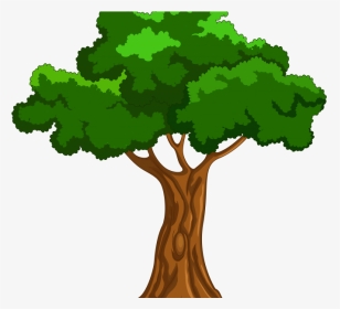 Codes For Insertion - Transparent Background Tree Cartoon, HD Png Download, Transparent PNG