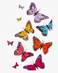 Aesthetic Colorful Butterfly, HD Png Download, Transparent PNG
