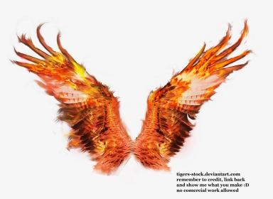 Phoenix Wings Drawing At - Phoenix Wings Transparent Background, HD Png Download, Transparent PNG