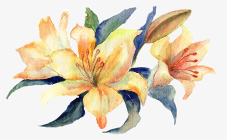 Flowers - Watercolor Lily Flower Png, Transparent Png, Transparent PNG