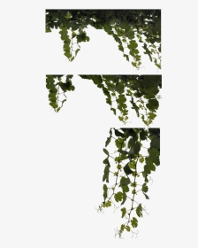 Vine Leaves Png - Camouflage Leaves Png, Transparent Png, Transparent PNG