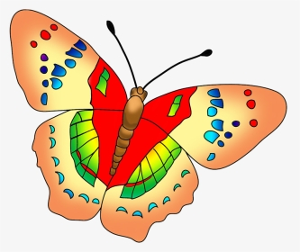 Multicolored Butterfly Image - Beautiful Butterfly Clip Art, HD Png Download, Transparent PNG