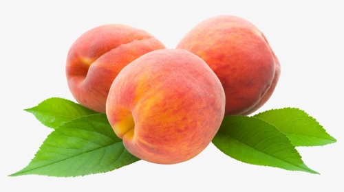 Peach Png Free Images - Nectarines, Transparent Png, Transparent PNG