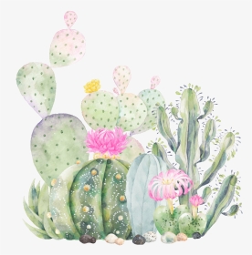 Cactus Clipart Free Watercolor Handpainted Plant And - Cute Cactus And ...