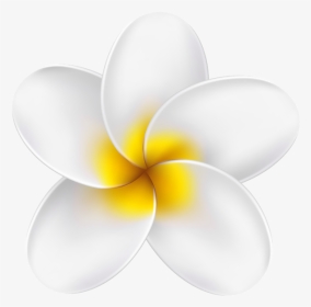 Tropical Flower Yellow Clipart, HD Png Download, Transparent PNG
