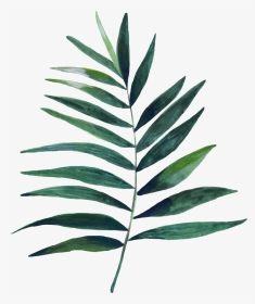 #leaf #flower #freetoedit - Plants Watercolour Png, Transparent Png, Transparent PNG