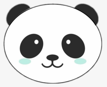 #kawaii #panda #head #bigpanda - Panda Amanda, HD Png Download, Transparent PNG