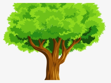 Tree Images Free - Clip Art Of A Tree, HD Png Download, Transparent PNG