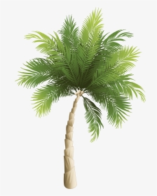 Yükle Phoenix Canariensis Transparent & Png Clipart - Palm Tree Island Png, Png Download, Transparent PNG