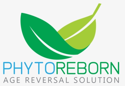 Phyto Reborn - Graphic Design, HD Png Download, Transparent PNG