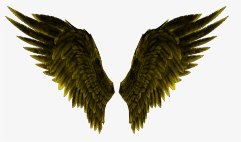 #angelwings #wings #yellow - Parrot, HD Png Download, Transparent PNG