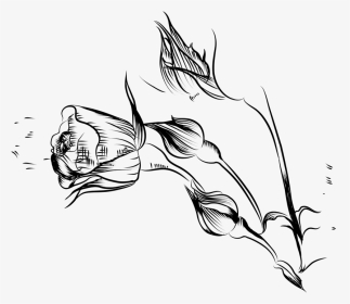 Sketch, HD Png Download, Transparent PNG