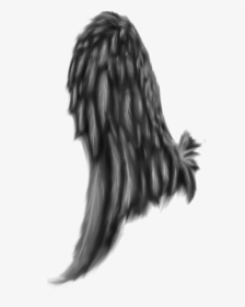Feathered Wing, HD Png Download, Transparent PNG