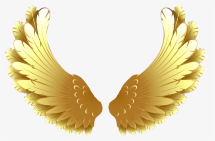 #goldwings #wings #golden #goldenwings #pretty #soft - Gold Wings Transparent Background, HD Png Download, Transparent PNG