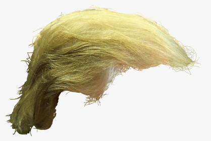 Donald Trump Frisur Transparent, HD Png Download, Transparent PNG
