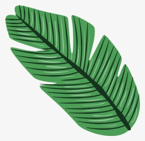 Tropical Leaves Png Vector, Transparent Png, Transparent PNG