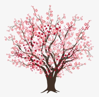 Bloosoming Apple Tree Clipart Clipart Freeuse Library - Cherry Blossom Tree Clipart, HD Png Download, Transparent PNG