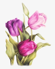 Fleurs Bouquets Flowers Flores - Flower Colour Pencil Drawing, HD Png Download, Transparent PNG