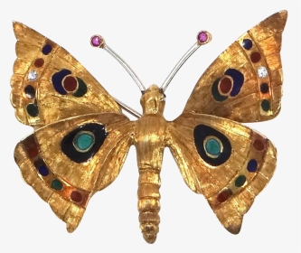 Riodinidae, HD Png Download, Transparent PNG
