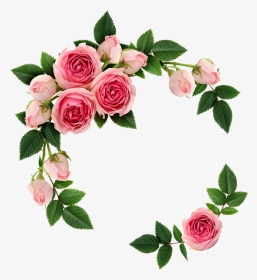 #flowers #ring - Elegant Transparent Flower Background, HD Png Download, Transparent PNG