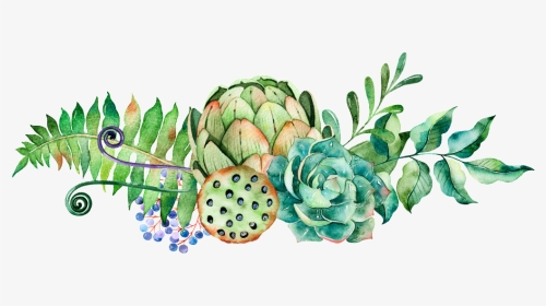 Succulent Vector Watercolor - Succulent Png, Transparent Png, Transparent PNG