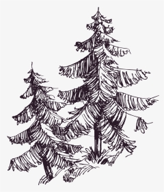 Christmas Tree, HD Png Download, Transparent PNG