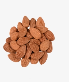 Almonds , Png Download - Almond, Transparent Png, Transparent PNG