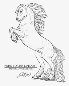Fresian Horse Colouring Pages, HD Png Download, Transparent PNG