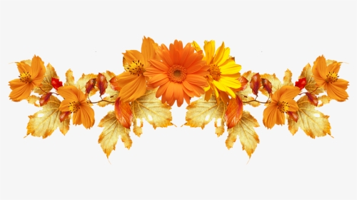 Orange Flower Clip Art - Flowers Cartoon Images Png, Transparent Png ...