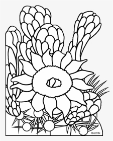 Clip Art Arizona Flower Clipart Png - Flower Of A Saguaro Cactus Drawing, Transparent Png, Transparent PNG