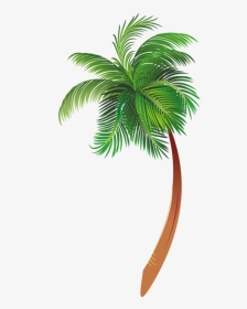 Arecaceae Cartoon Tree Clip Art - Cartoon Palm Tree Png, Transparent Png, Transparent PNG