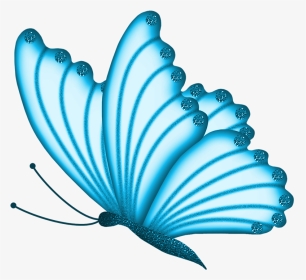 Jddbutterfly6 - Clipart Of Beautiful Butterfly, HD Png Download, Transparent PNG