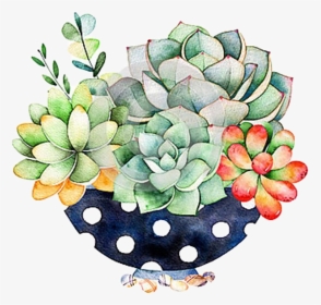 #succulents #cactus #flowerarrangement #handdrawn #watercolor - Diamond Painting Kits Cactus, HD Png Download, Transparent PNG