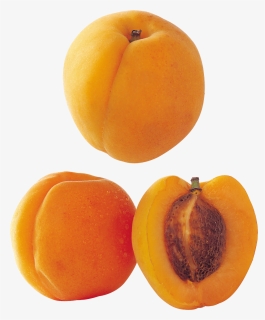Peach Png Free Download - Sliced Peach Png, Transparent Png, Transparent PNG
