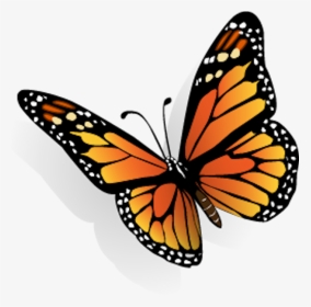 Dibujos De Mariposas En 3d, HD Png Download, Transparent PNG